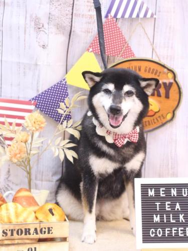 20240906ひめちゃん